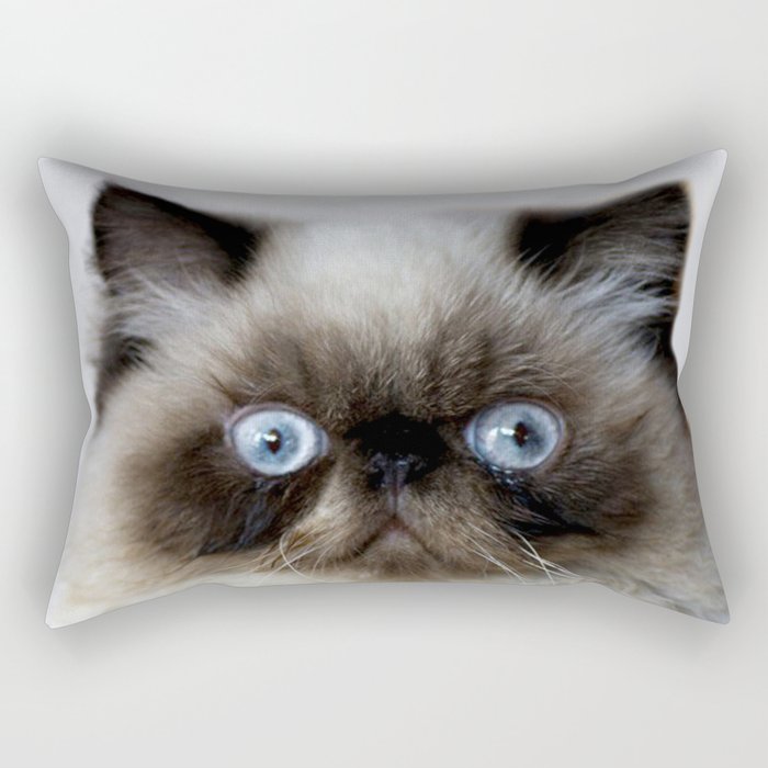 Funny Cat Rectangular Pillow