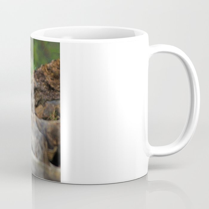 Kodiak Bear Coffee Mug