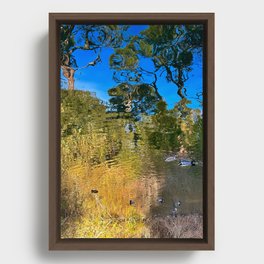 Pond Impressionism with trees and ducks  Framed Canvas