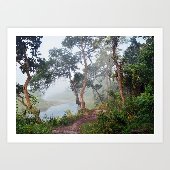 Jungle in Royal Chitwan National Park, Nepal. Art Print