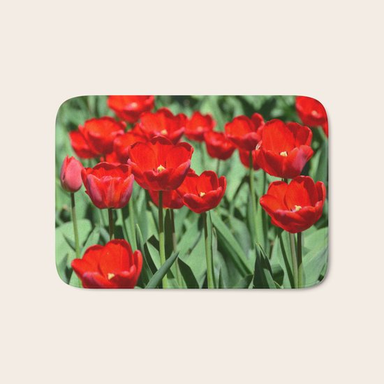 Red Tulips Bath Mat