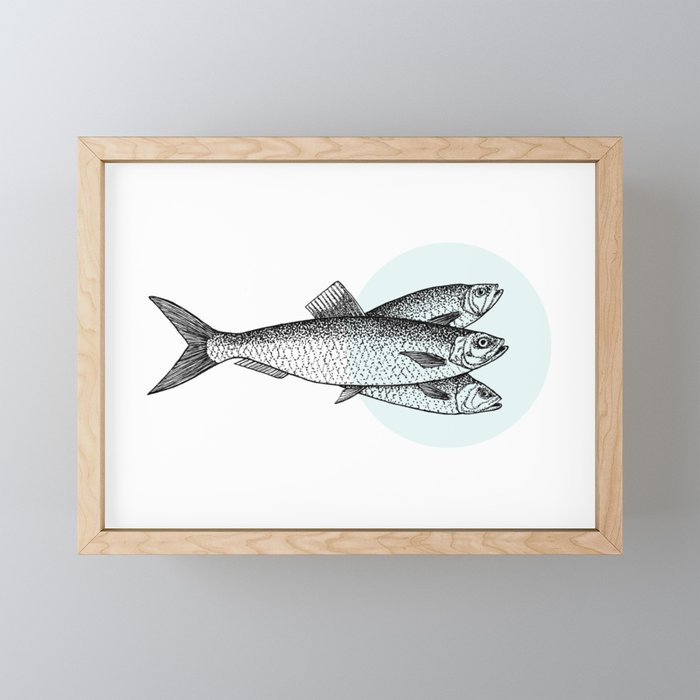 Herring Illustration - Three Fishes  Framed Mini Art Print