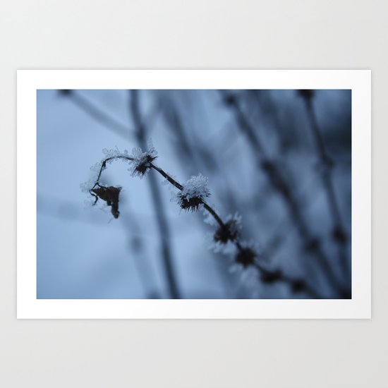 Ice Baby Art Print