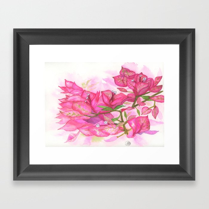 Bougainvillea Framed Art Print