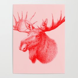Moose red Poster