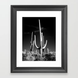 Black and White Saguaro Cactus Photo Framed Art Print