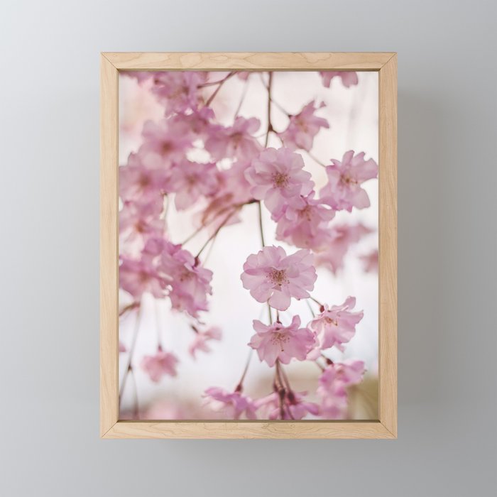 Cherry Blossom Baby Framed Mini Art Print