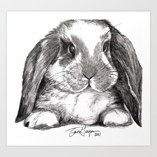 Bunny Art Print