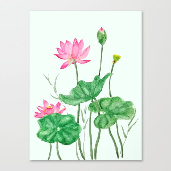 lotus flower Canvas Print