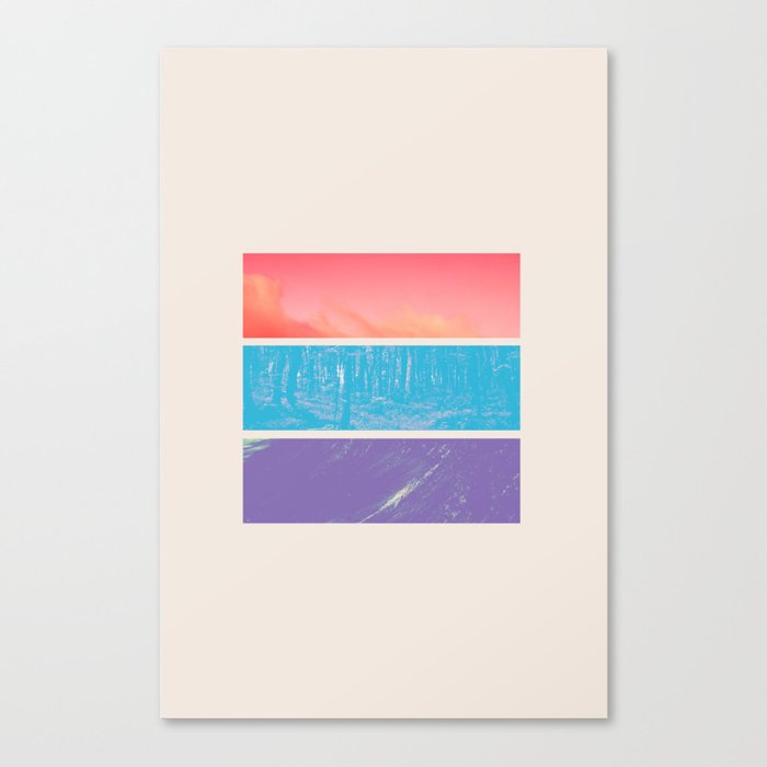 Colour Canvas Print