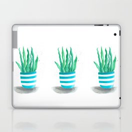Succulents in a turquoise pot Laptop Skin