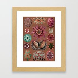 Squirt Framed Art Prints Society6