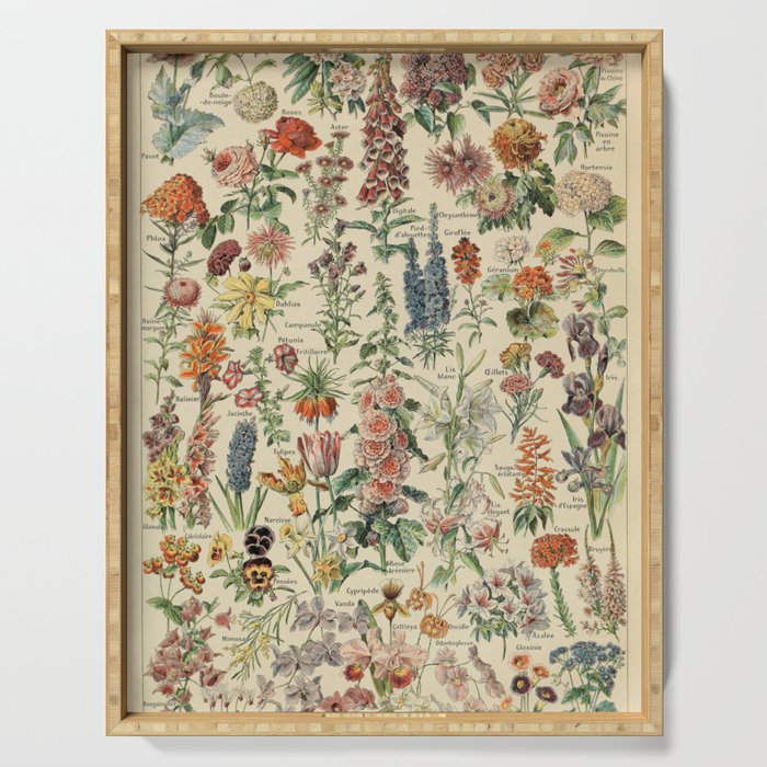 French Vintage Flowers Chart Adolphe Millot Fleurs Larousse Pour Tous Funky Cozy Boho Maximalist Serving Tray