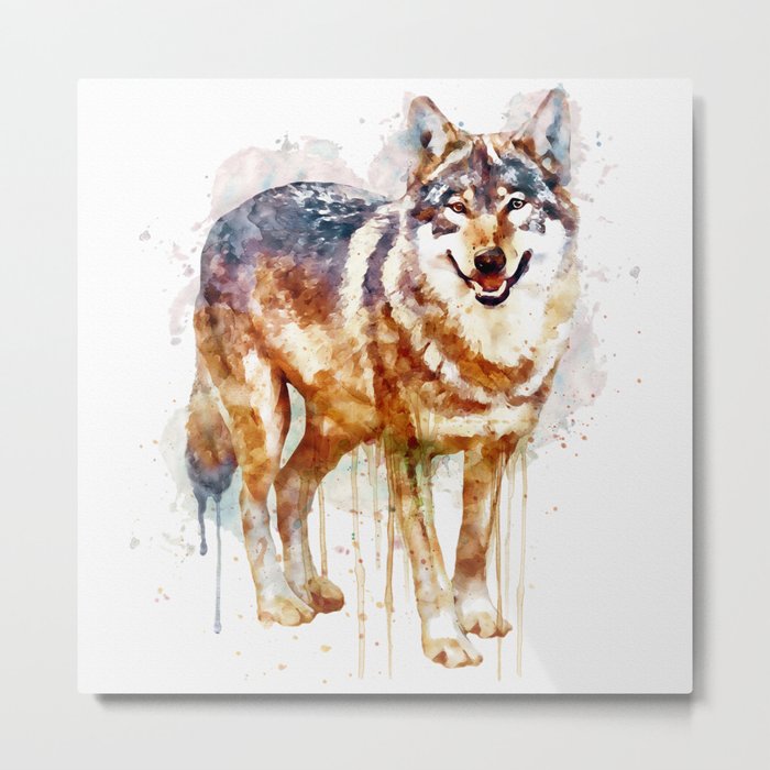 Alpha Wolf Metal Print