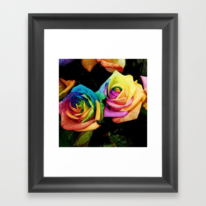 Rainbow roses Framed Art Print