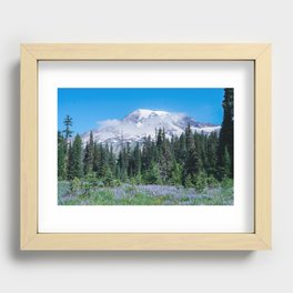 Mount Rainier in Bloom Recessed Framed Print