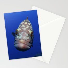 Grouper kiss Stationery Cards