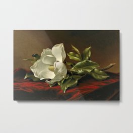 “Magnolia Grandiflora,” 1885 by Martin Johnson Heade Metal Print | Curated, Whiteflower, Stilllive, Whiteflowers, Anniversary, Jeanpaulferro, Flora, Flowers, Masterpiece, Hudsonvalley 