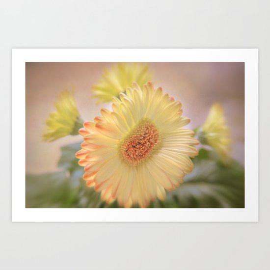 A Touch of Sunshine Art Print