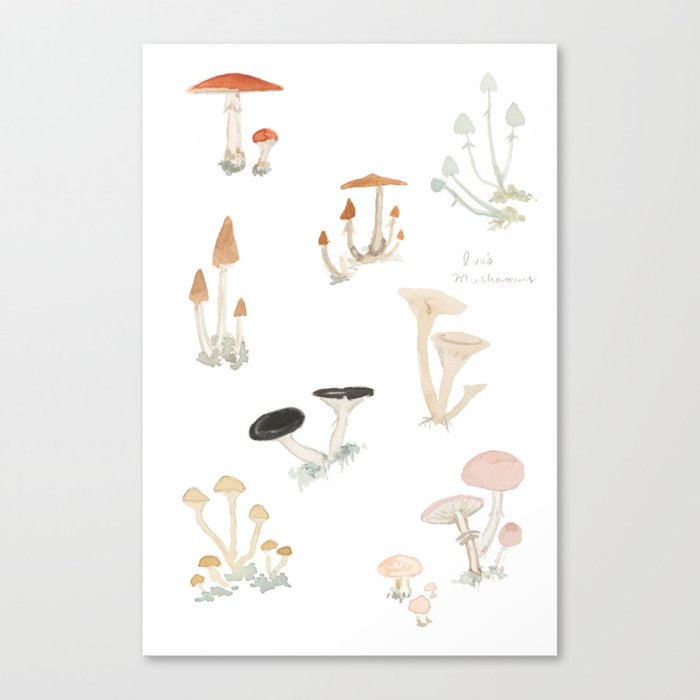 Sketchbook Mushrooms Canvas Print