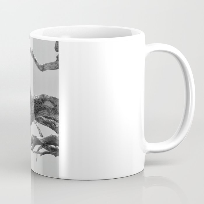 Driftwood Ladder B/W Coffee Mug