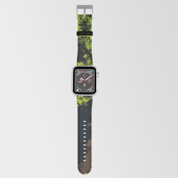 Brazil Photography - River Going Through The Rain Forest Apple Watch Band
