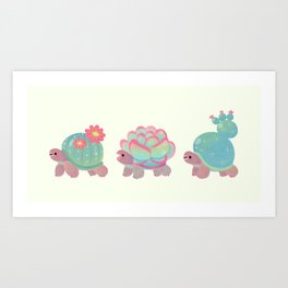 Cactus tortoise Art Print