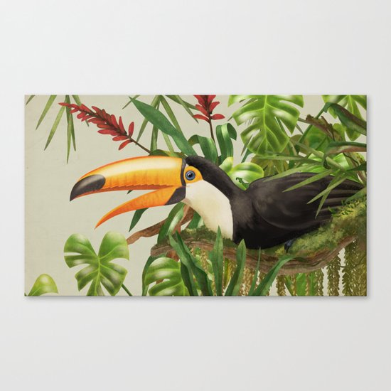 Toco Toucan vintage illustration. Canvas Print