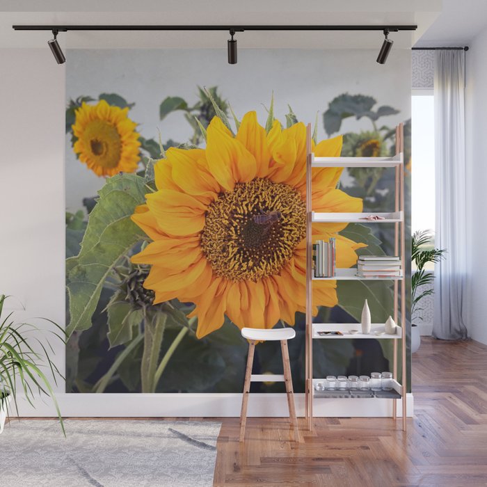 Sunflowers garden with honey bee Wall Mural