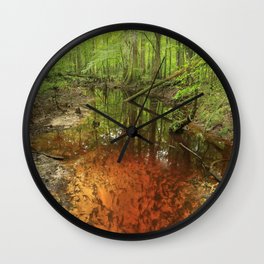 Turkey Creek, South Carolina Wall Clock