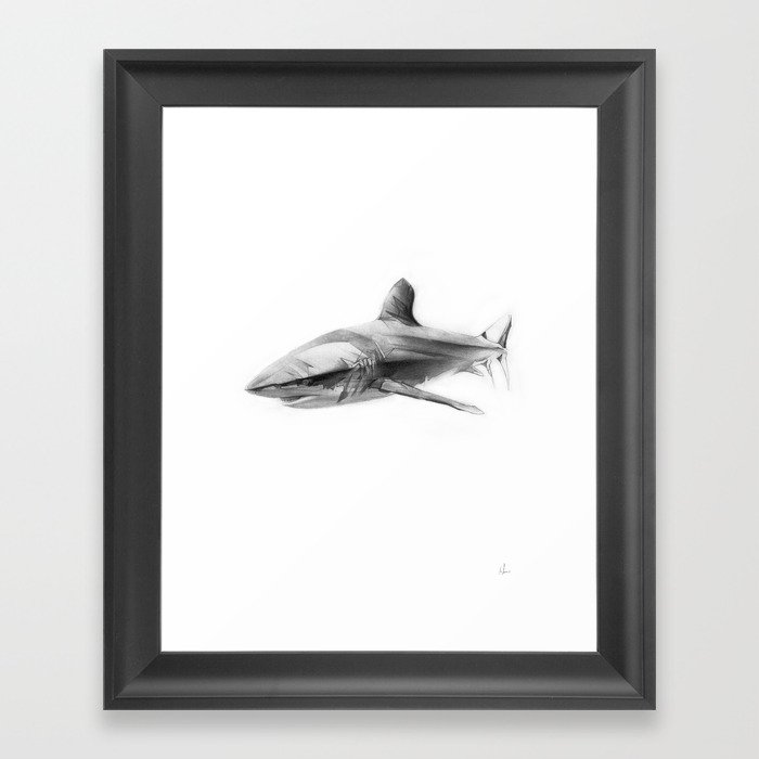 Shark I Framed Art Print