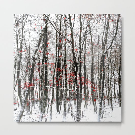 winter forest Metal Print
