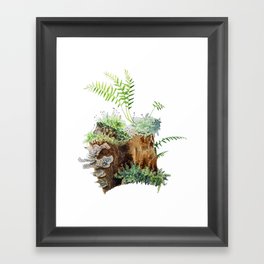 Mossy Stump Framed Art Print