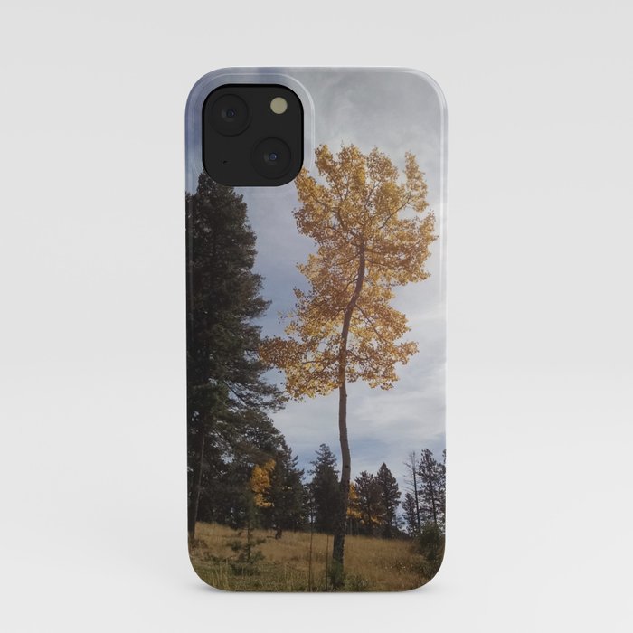 Colorado Aspen iPhone Case