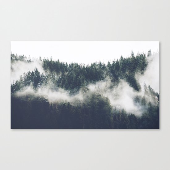 Abstract Forest Fog Canvas Print