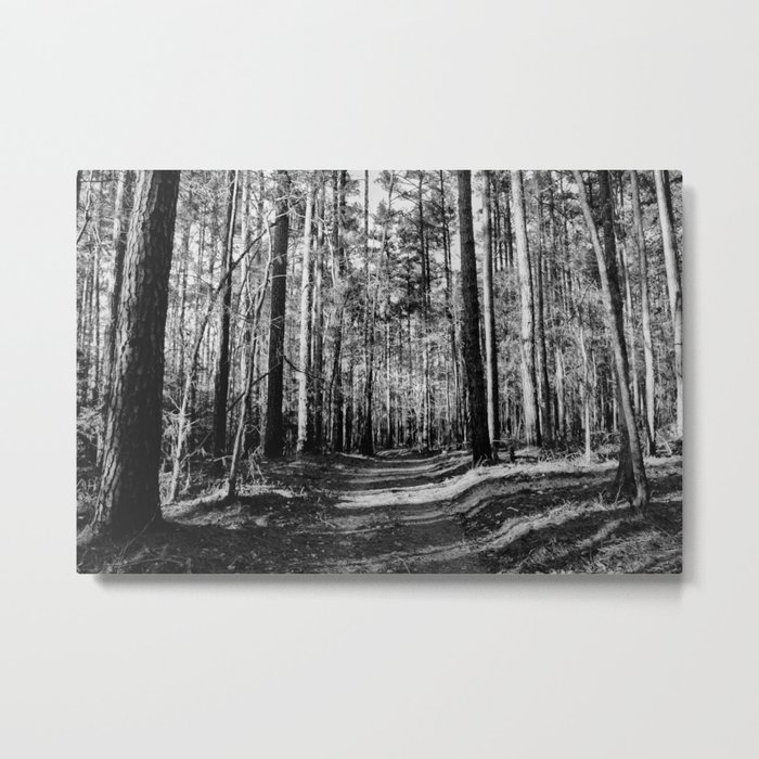 Forest Trail Metal Print