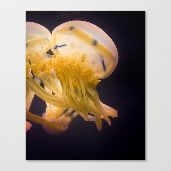 Jelly Lovers Canvas Print