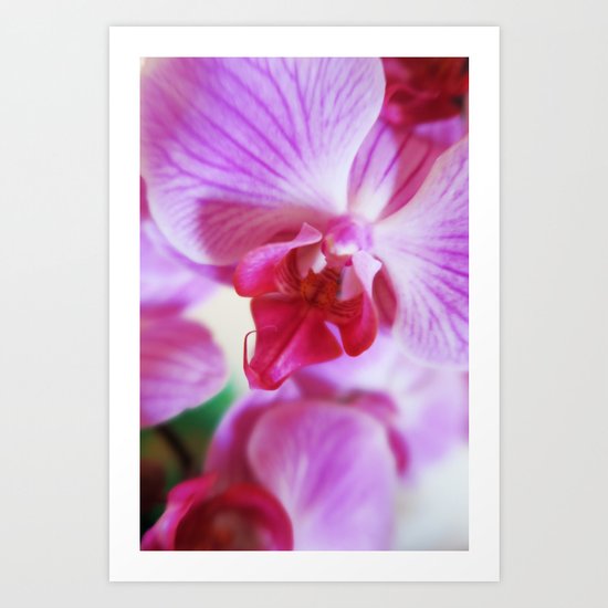 Orchid Art Print