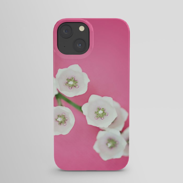 By Overwhelming Majority  iPhone Case