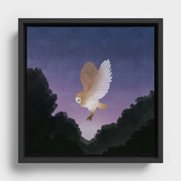 Flight - Owl Illustration Framed Canvas