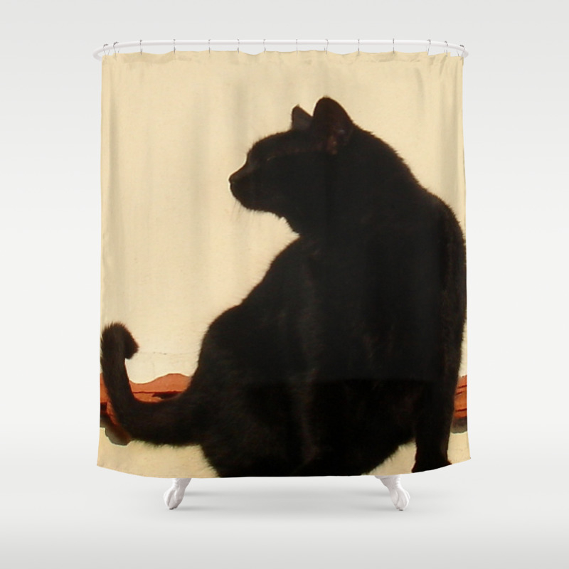 Side View Silhouette Of A Black Cat Sitting On A Roof Shower