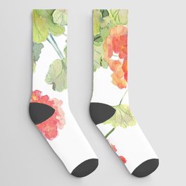 Geranium Watercolor  Socks