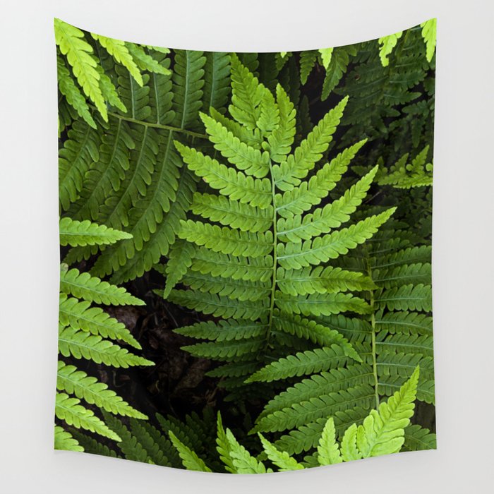 Fern tapestry shop