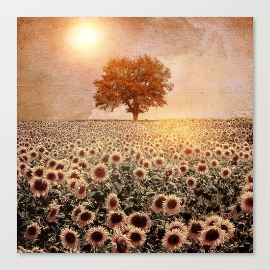 lone tree & sunflowers field (colour option) Canvas Print