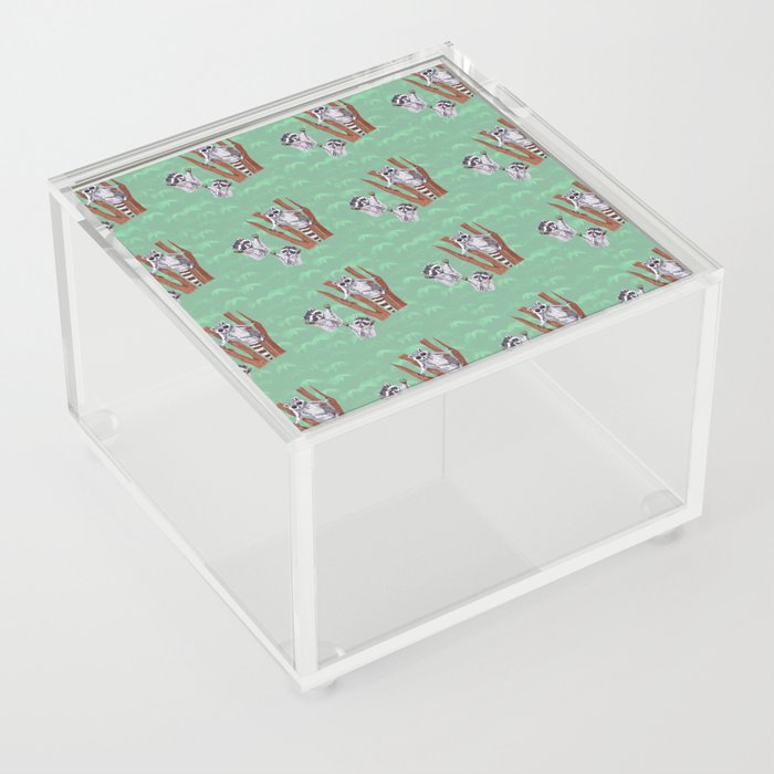 Playful Curious Raccoons Tree Pattern  Acrylic Box