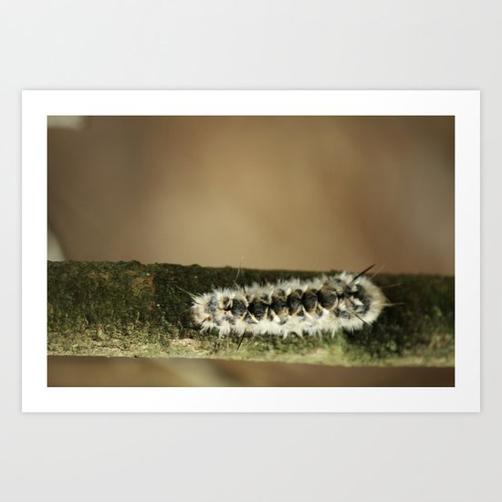 Caterpillar. Art Print