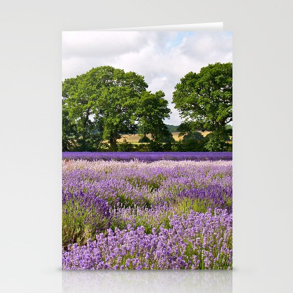 Hampshire Lavender Fields Stationery Cards