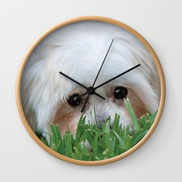 Cute puppy Wall Clock