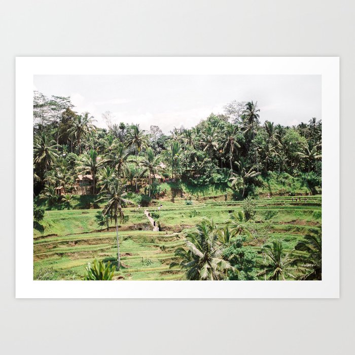 Tegalalang Rice fields near Ubud Bali, Indonesia | Travel film photography wall art Art Print