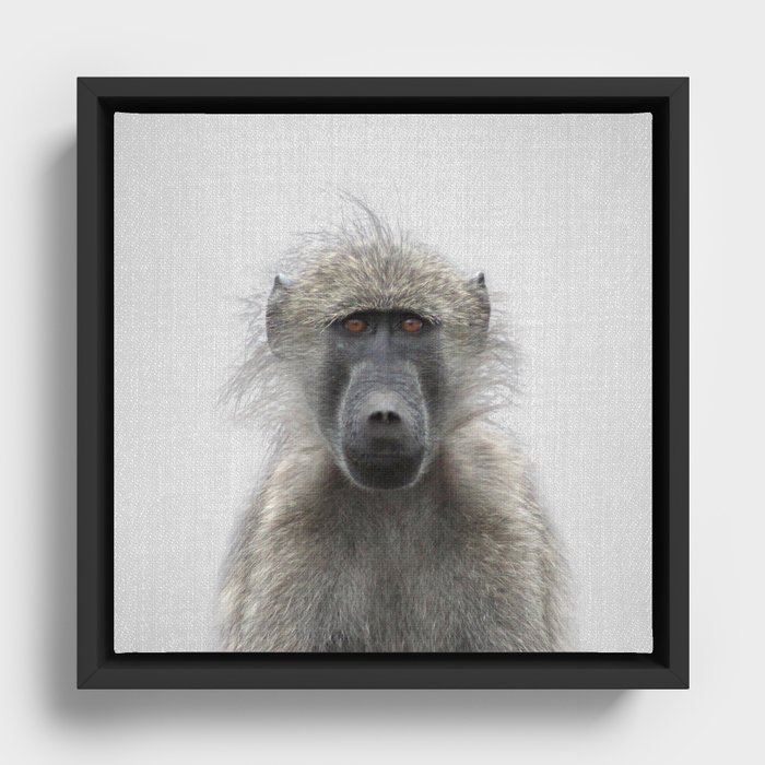 Framed Canvas